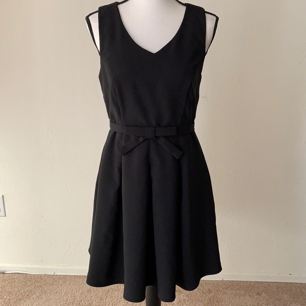 Black V-Neck Skater Dress